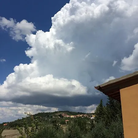 La Del Barbagianni Santa Luce