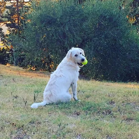 La Del Barbagianni Bed and Breakfast 4*